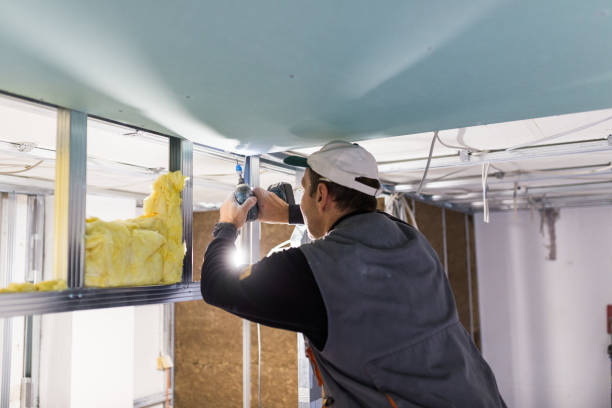 Best Geographic-Specific Insulation Services in Riverton, UT